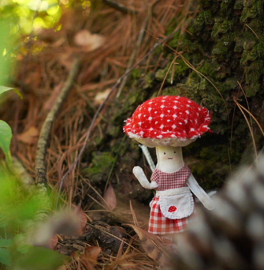 Shroom Kit