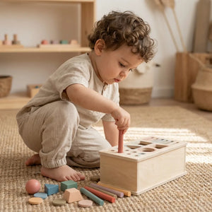 Shape Sorter
