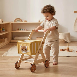 Push Cart