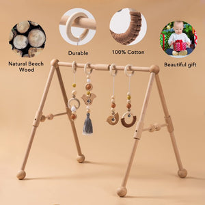 Play Gym
