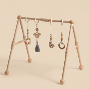 Play Gym