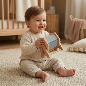 Learning Toys