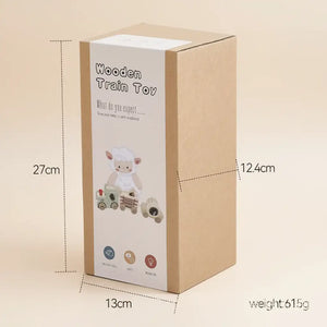 Train Set