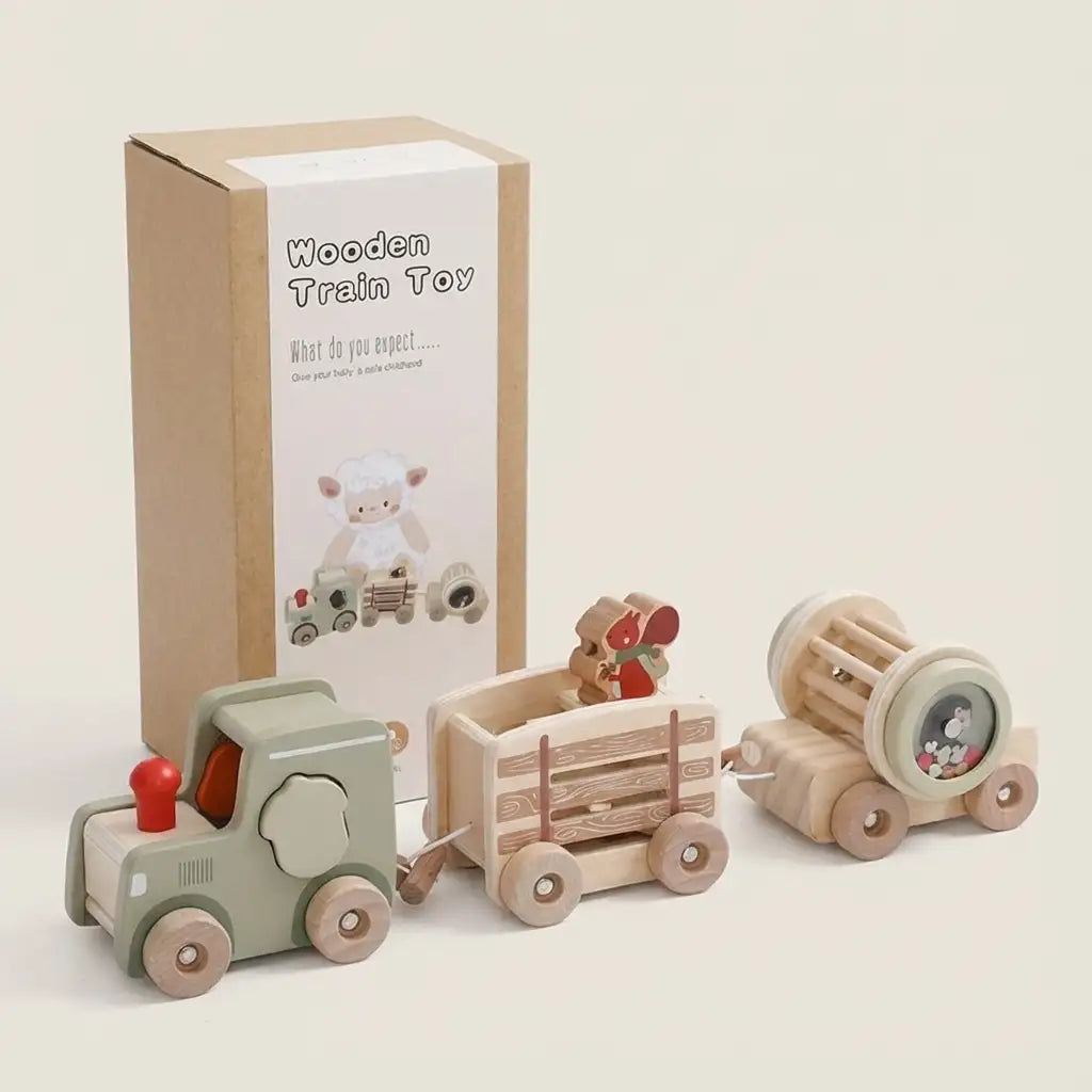 Train Set
