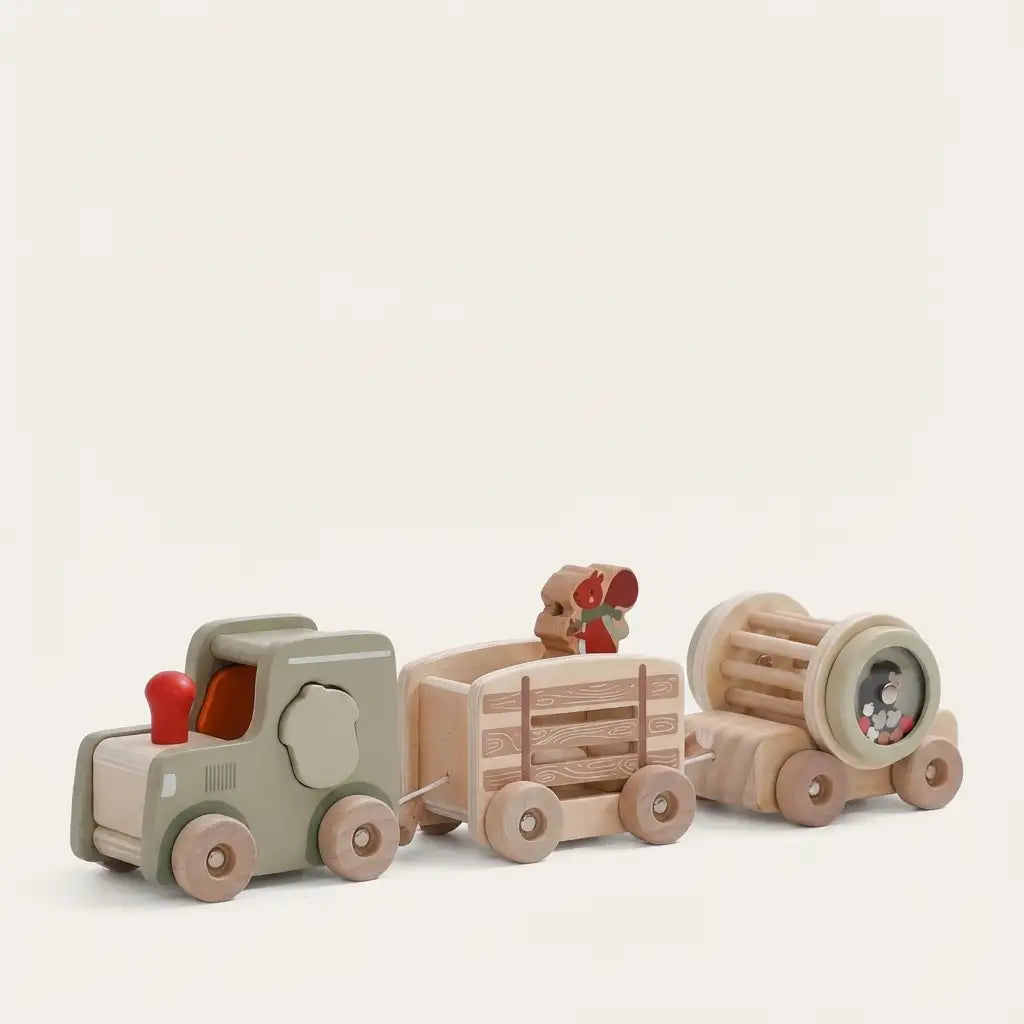Train Set