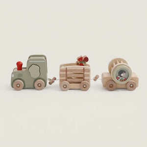 Train Set