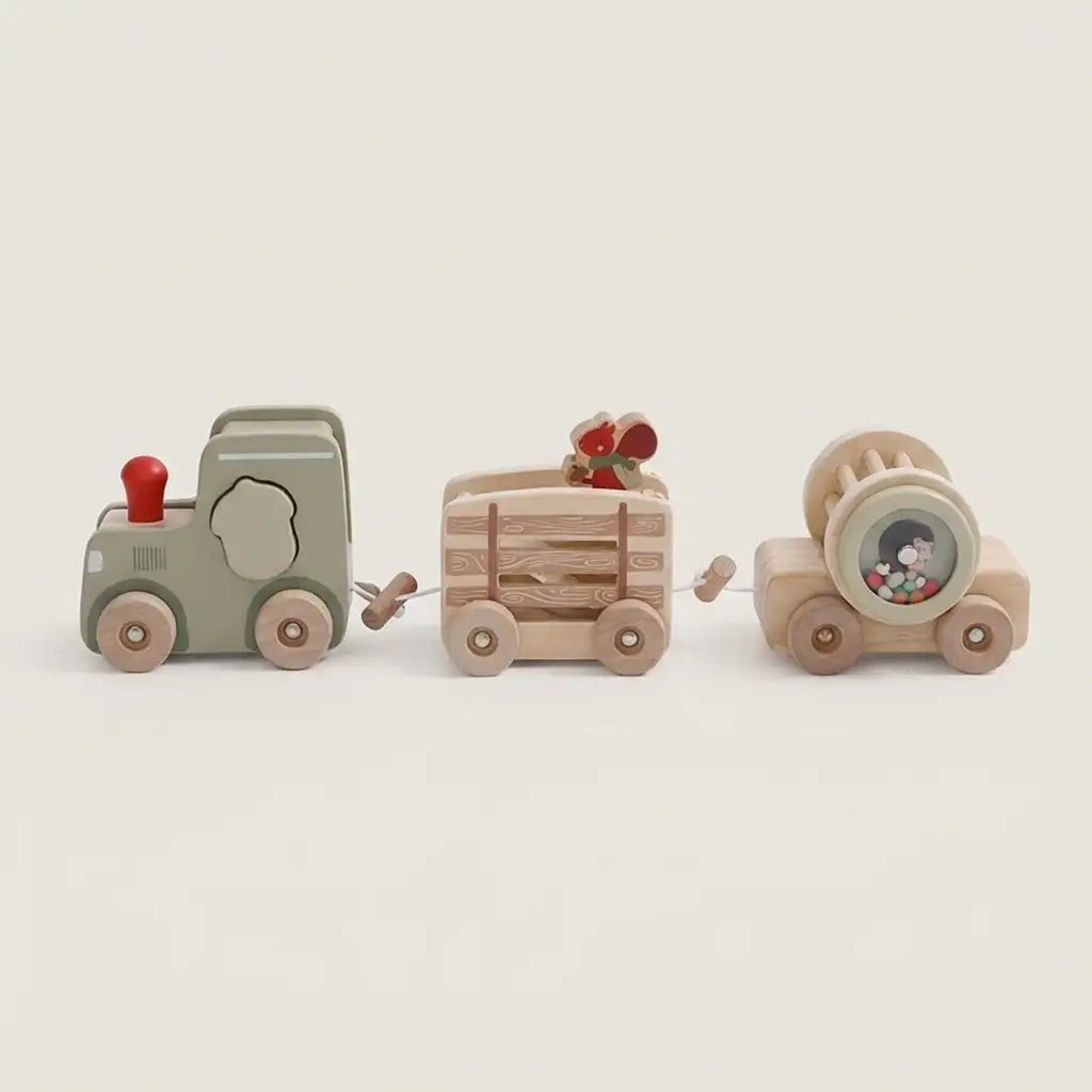 Train Set